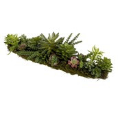 78cm Mixed Succulent Centrepiece
