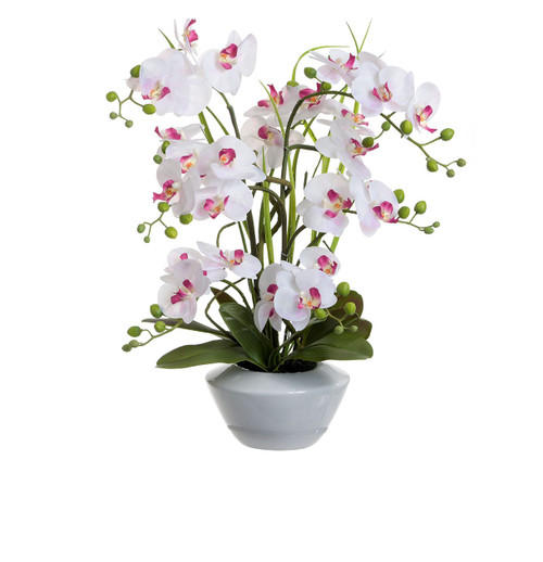 73cm Phaleanopsis Pot Lt Pink