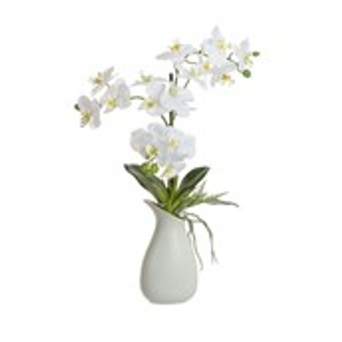 58cm Phaleanopsis in Jug Cream