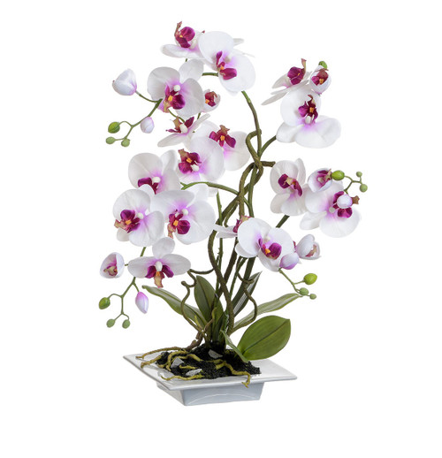 57cm Orchid in Square Pot Lilac