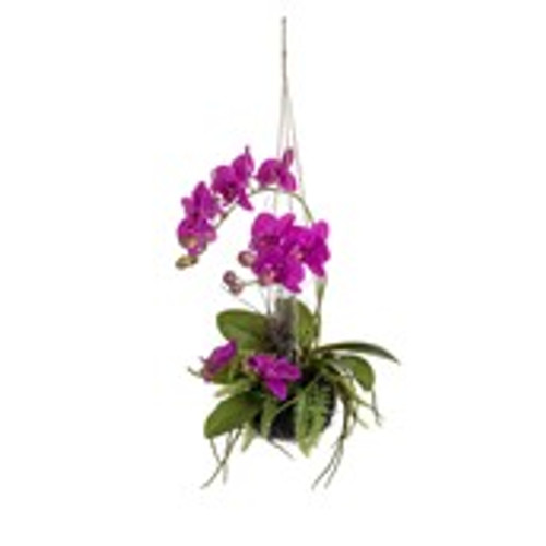 46cm Hanging Orchid w/Base Purple