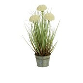 46cm Mum Grass w/Pot Cream