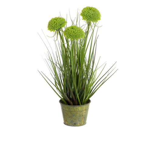 46cm Mum Grass w/Pot Green