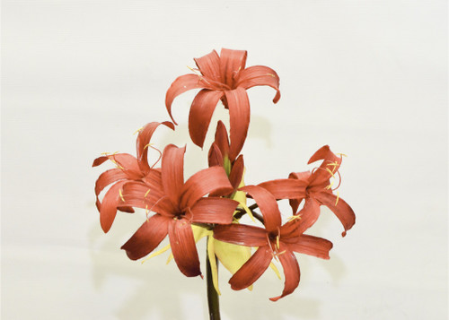 38" Garden Amaryllis Red
