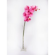 Orchid Phalaenopsis Pink 75Cm