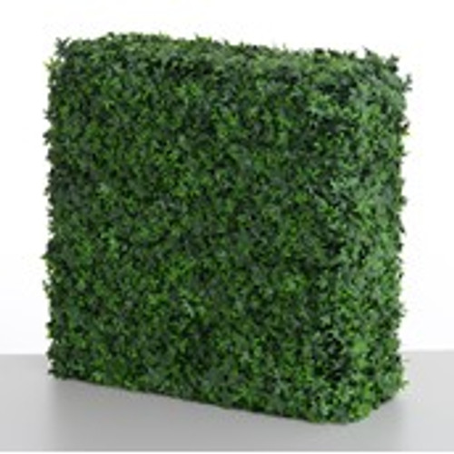 Ivy Hedge 75x75x25cm
