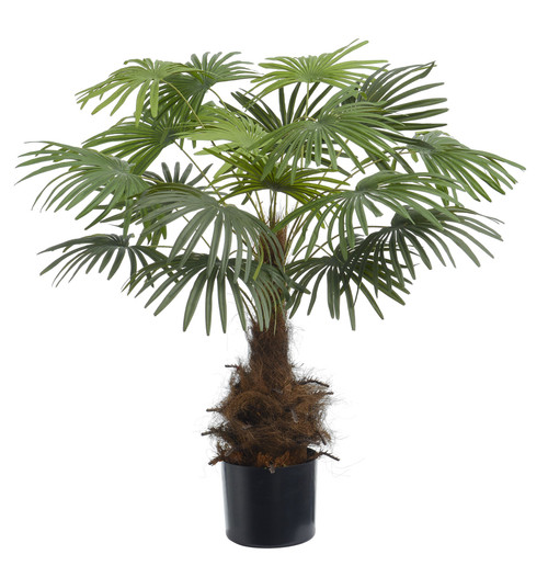 48" Fuji Palm Tree x485