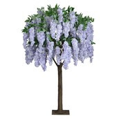 1.8m Wisteria Tree Lavender