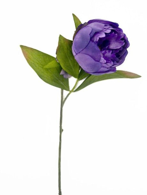 Eternity Peony Stem Purp 60Cm