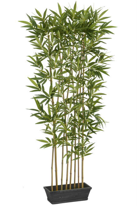 6' Bamboo Hedge