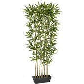 6' Bamboo Hedge