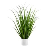 76cm Grass in White Pot