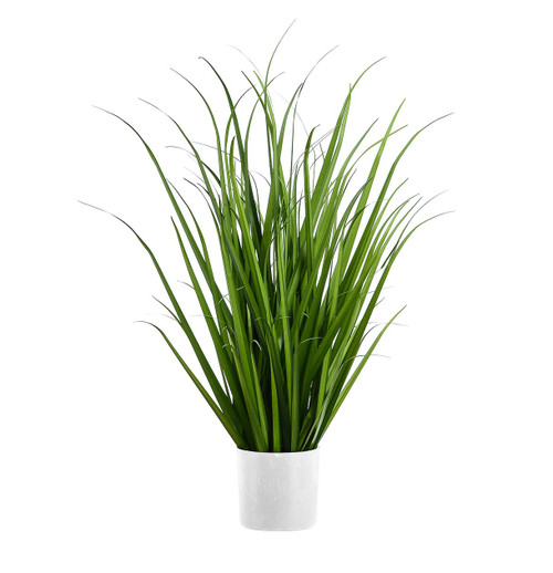 76cm Grass in White Pot