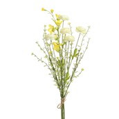 58cm Ran/Campanula Bundle Crm/Yell