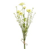 54cm Daisy/Grass x5 Bundle Cream