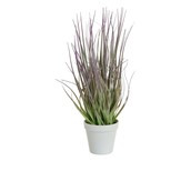 46cm Grass w/White Pot Purple