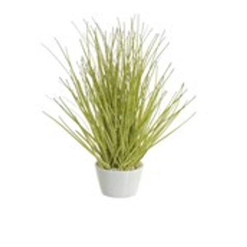26cm Grass w/Ceramic Pot Green