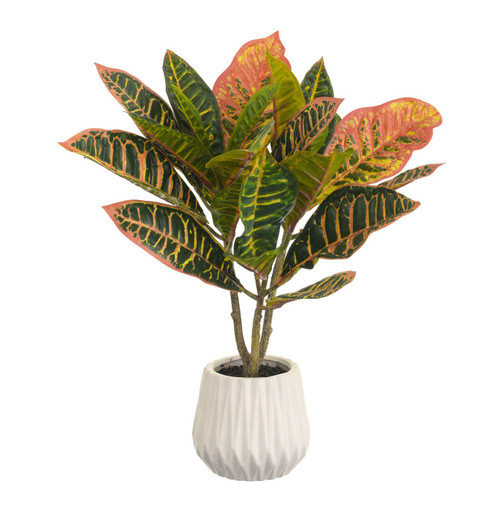 18"  Variable Leaf Potted  Rd/Grn