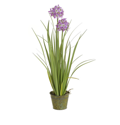 84cm Allium Grass w/Zinc Pot Purp