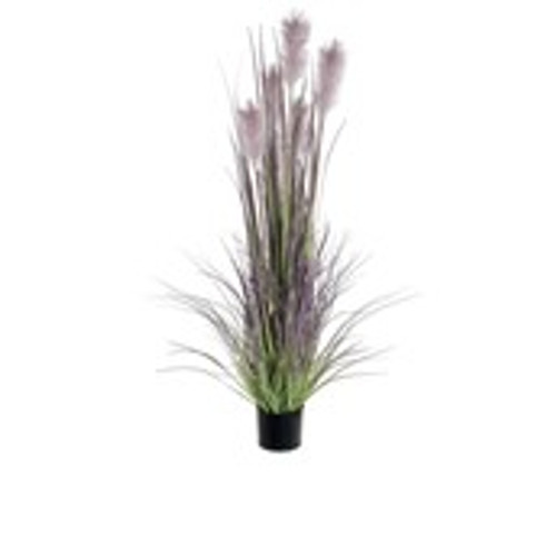 152cm Reed Grass w/Pot Mauve