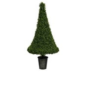 55" Boxwood Tower UVP