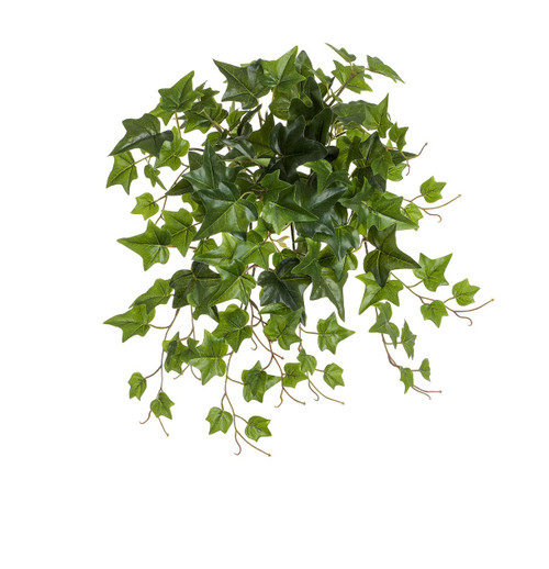 56cm Ivy Bush Green UV
