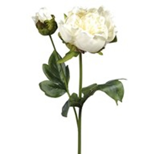 Vintage Peony Cream 48Cm Vintage Peony Cream 48Cm