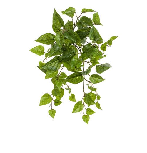 48cm Pothos Bush Green UV