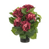 40CM Hydrangea Bush Fuchsia