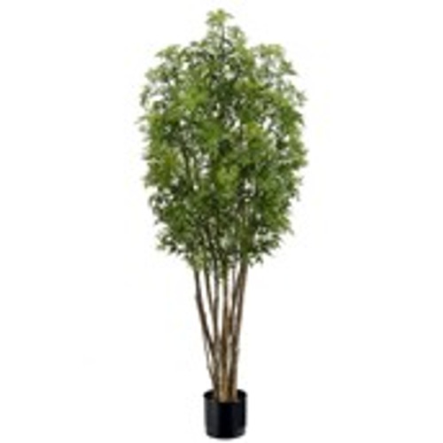 4' Plastic Aralia
