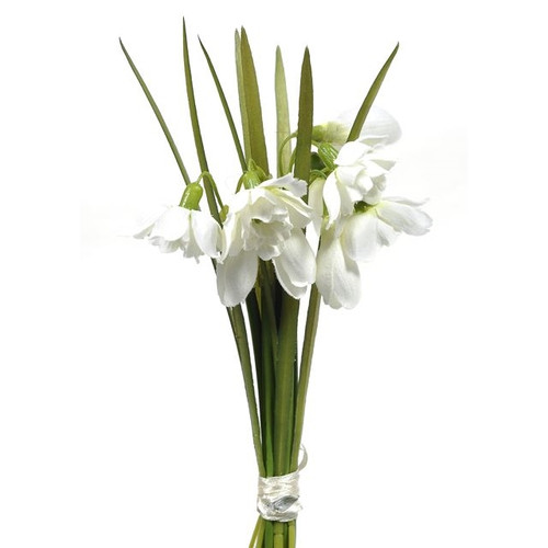 Snowdrop Spring Bundle 19Cm