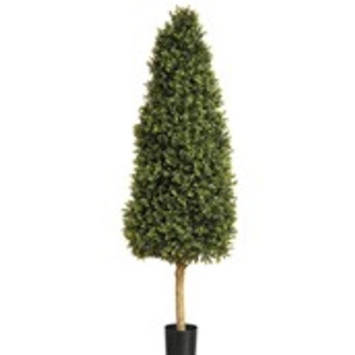 5' Boxwood Tower 3420Lvs Grn