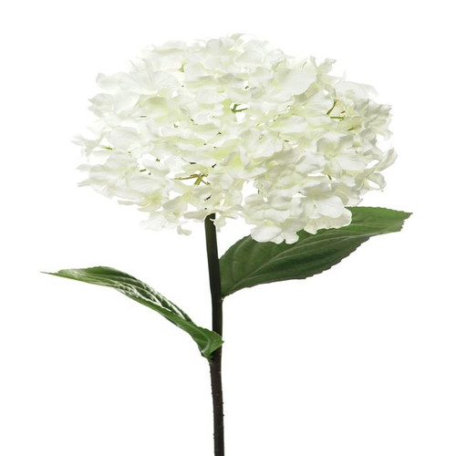 Premier Hydrangea Cream 68Cm