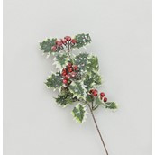 42cm Frosted Holly/Berry Variegate