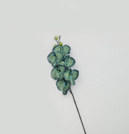 82cm Orchid Lt Green