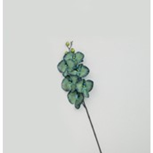 82cm Orchid Lt Green