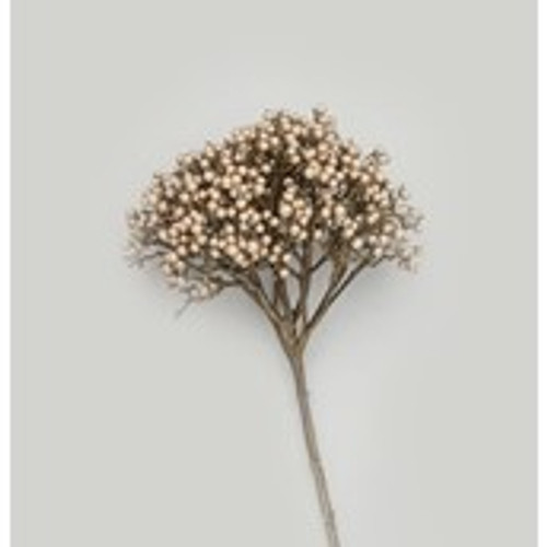 67cm Berry Cluster Spray Champagne