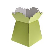 Living Vase Sage Green X30