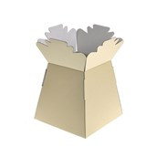 Bouquet Box - Cream (x30)