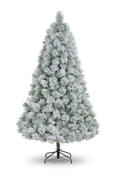 8' Laurent Spruce 922tips
