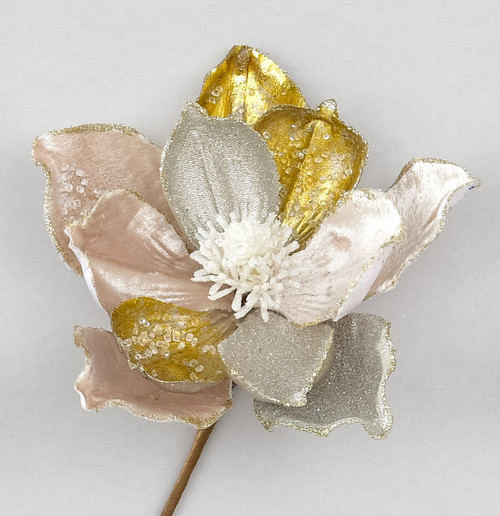 56cm Plush Magnolia Champagne