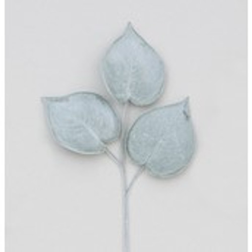 58cm Philodendron Green