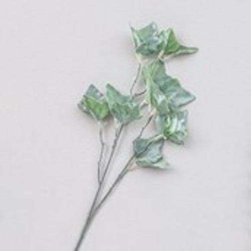68cm Frosted Ivy Spray