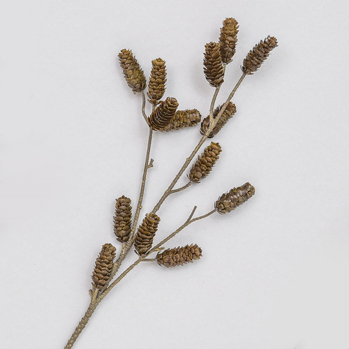 74cm Cone Spray Brown