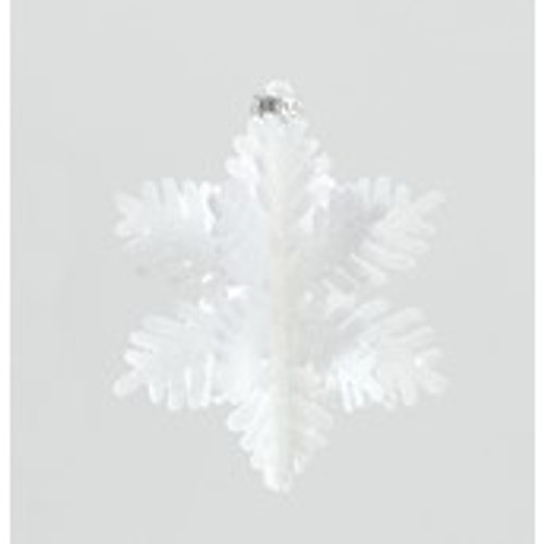 100mm Glitter Snowflake x6 Box Wht