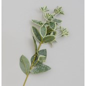 68cm Frosted Leaf Spray
