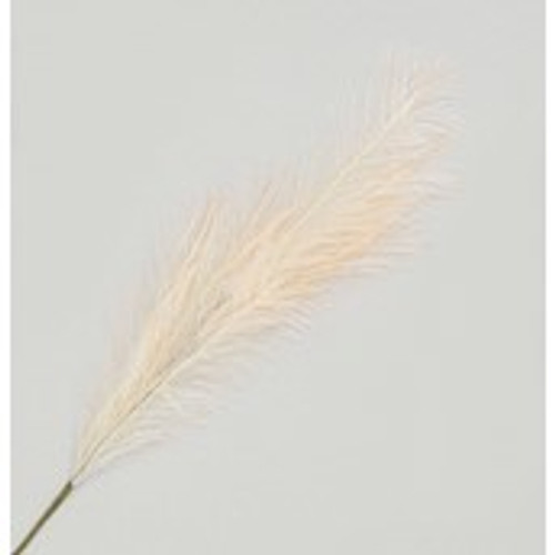 96cm Reed Grass Spray Cream