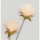 72cm PomPom Spray Cream