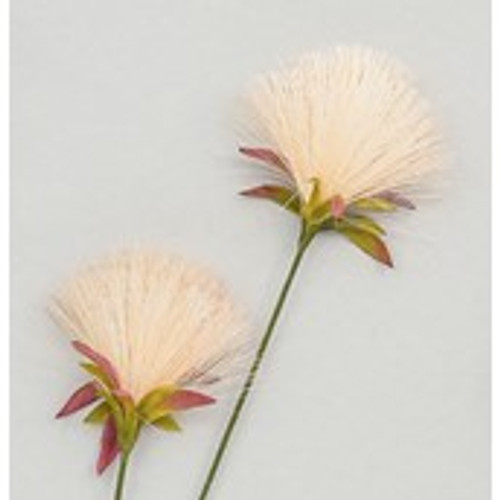 72cm PomPom Spray Cream