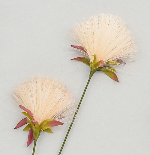 72cm PomPom Spray Cream